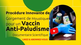 iMG-Procédure-Innovante-de-Gorgement-de-Moustiques-pour-un-Vaccin-Anti-Paludisme-Documentaire-Scientifique-YTT4_1
