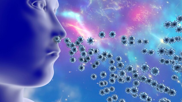 Respiratory viruses, illustration