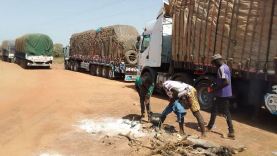 tengrela-les-effets-collateraux-des-sanctions-economiques-de-la-cedeao-et-l_3mpmx7z6prg