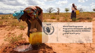 Assurance-contre-les-risques-climatiques-au-Mali-Banque-africaine-de-développement-lance-ADRiFi-un-programme-ad-hoc