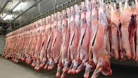 usines-viande-abattoir-frigorifique