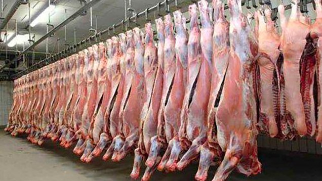 usines-viande-abattoir-frigorifique