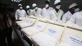 Coton-cotonculteurs-Mali