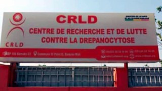Centre-Lutte-contre-drepanocytose-CRLD