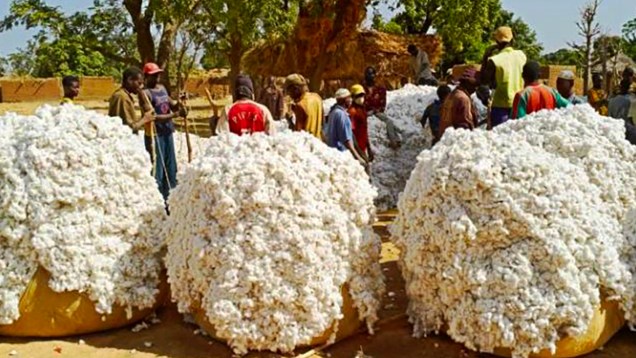 Corridor-Mali-Mauritanie-coton-malien-agriculture