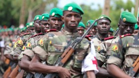 Defile FAMA forces armees maliennes 3B0A0265