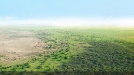 RESTAURATION-DES-ECOSYSTEMES-SA..