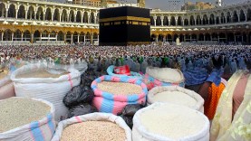 cherte-de-la-vie-marche-cereales