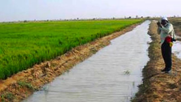 office_du_niger-ZONE-DE-PRODUCTION-DE-M’BEWANI