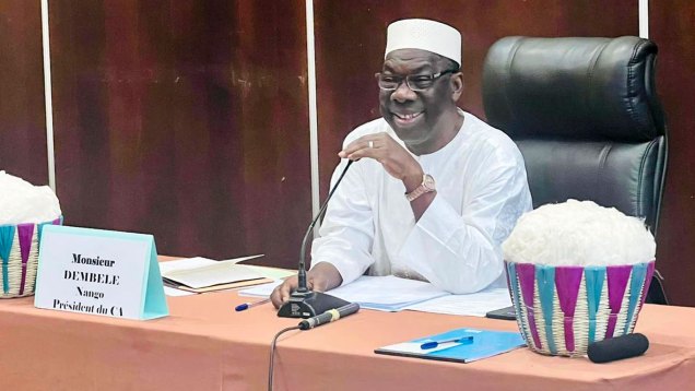 Nango-Dembele-CONSEIL-D&rsquo;ADMINISTRATION-Compagnie-Malienne-pour-le-Développement-des-Textiles-CMDT