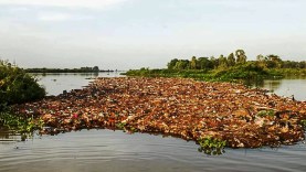 Des déchets dans le lite du fleuve Niger