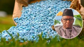 engrais-Modibo-Keita-octroie-un-marché-de-gré-à-gré-de-17-milliards-à-ses-proches,-incapables-de-fournir-un-seul-sac-d’engrais-aux-paysans