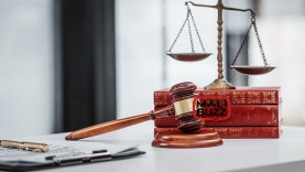 liberty and rights, freedom, Law and justice.