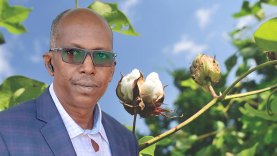 Mamadou-Moustapha-Diarra-nouveau-PDG-de-la-CMDT