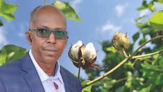 Mamadou-Moustapha-Diarra-nouveau-PDG-de-la-CMDT