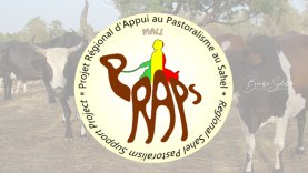Projet-Régional-d&rsquo;Appui-au-Pastoralisme-au-Sahel-PRAPS-Mali