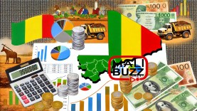 illustration-symbolisant-la-gestion-budgétaire-au-Mali-carte-du-Mali,-pièces-de-monnaie,-billets-de-banque,-tableaux-financiers