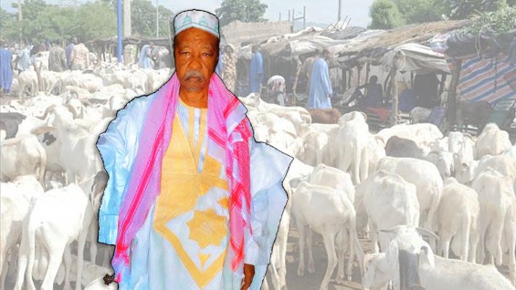 Assassinat-de-Boubou-Tigal-Cissé