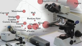laboratoire-sequencage-sars-cov-2-afrique-ouest