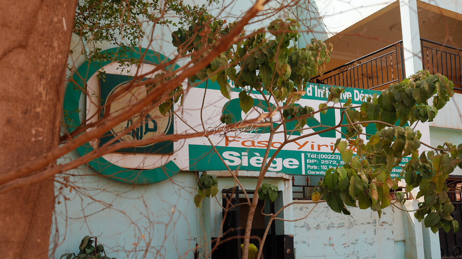 Siège du CNID à Bamako vu à travers la végétation avec façade partiellement visible dans un environnement urbain